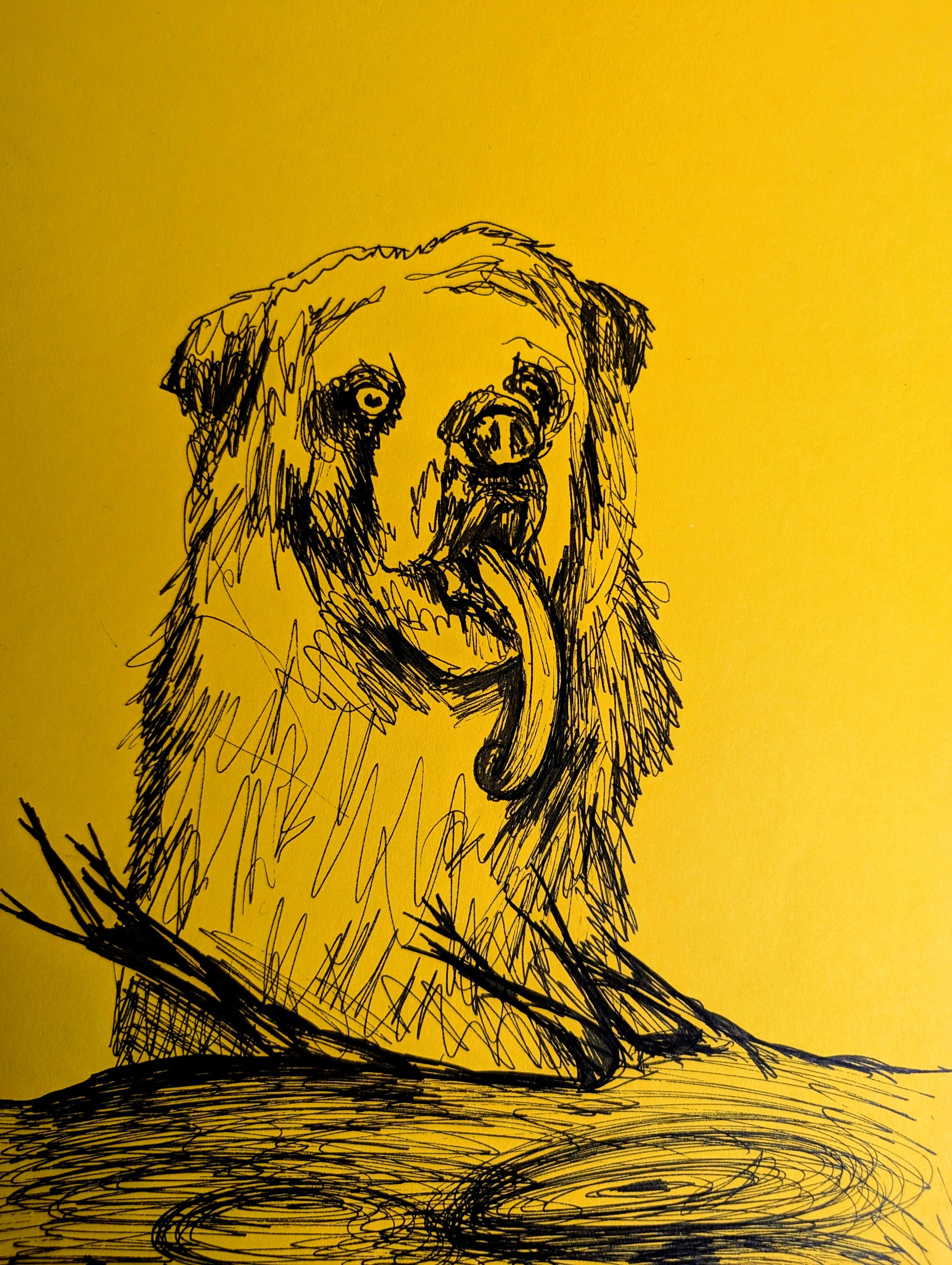 Bear On Yellow Paper Pen Illustration Drawing Sketch Art Animal Portraiture Portrait A4 Size Unframed - Unorthodox Zoo
