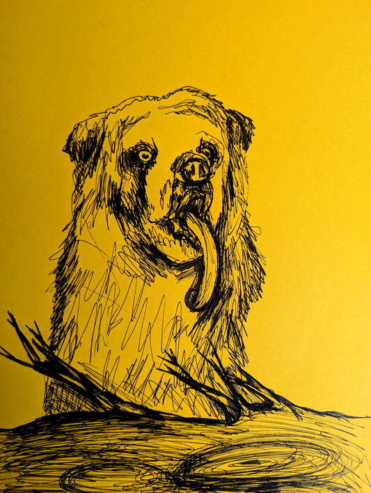 Bear On Yellow Paper Pen Illustration Drawing Sketch Art Animal Portraiture Portrait A4 Size Unframed - Unorthodox Zoo