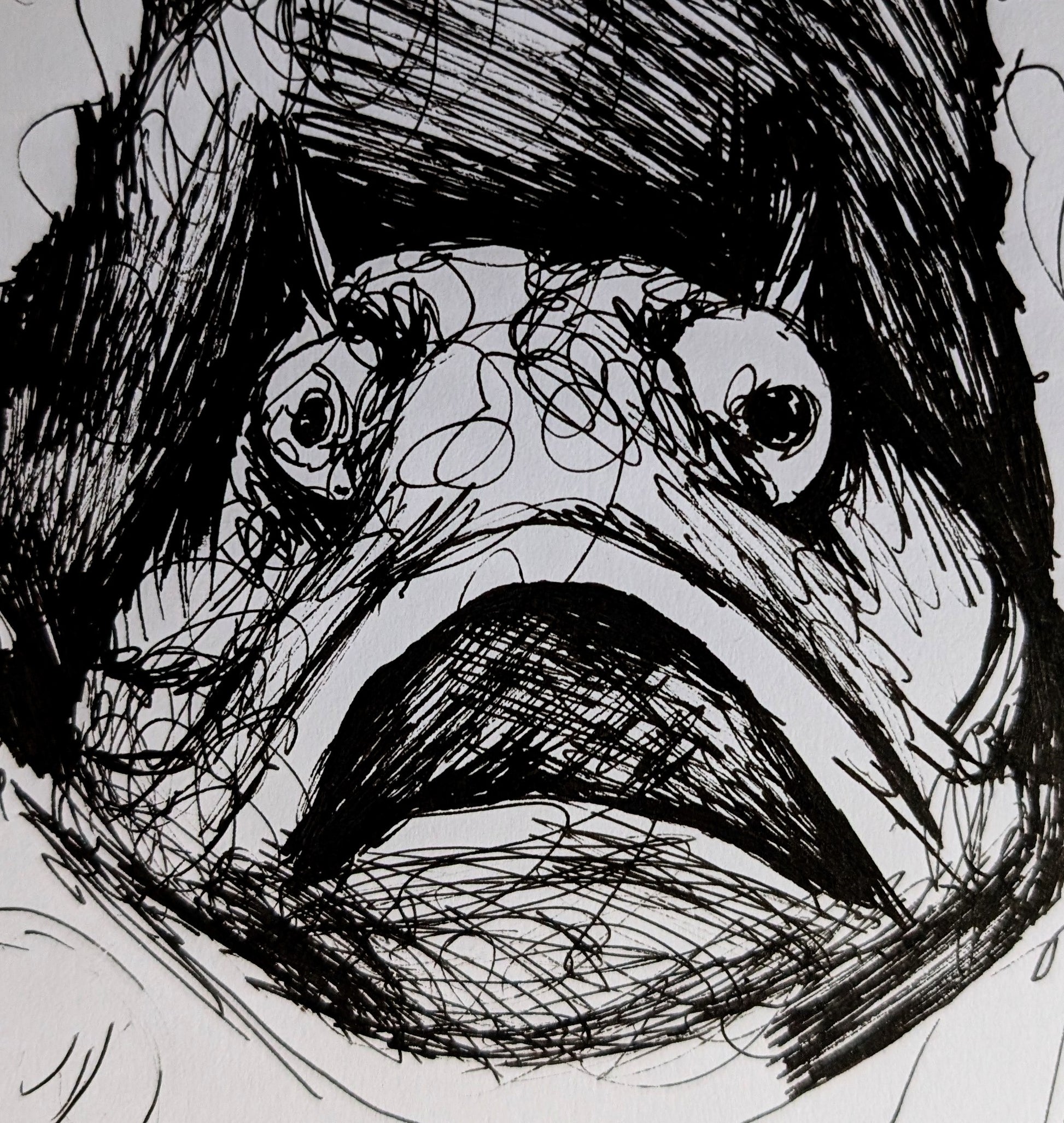 Sarcastic Fringehead Fish Under The Sea Pen Illustration Drawing Sketch Art Portrait Unframed A4 Size - Unorthodox Zoo