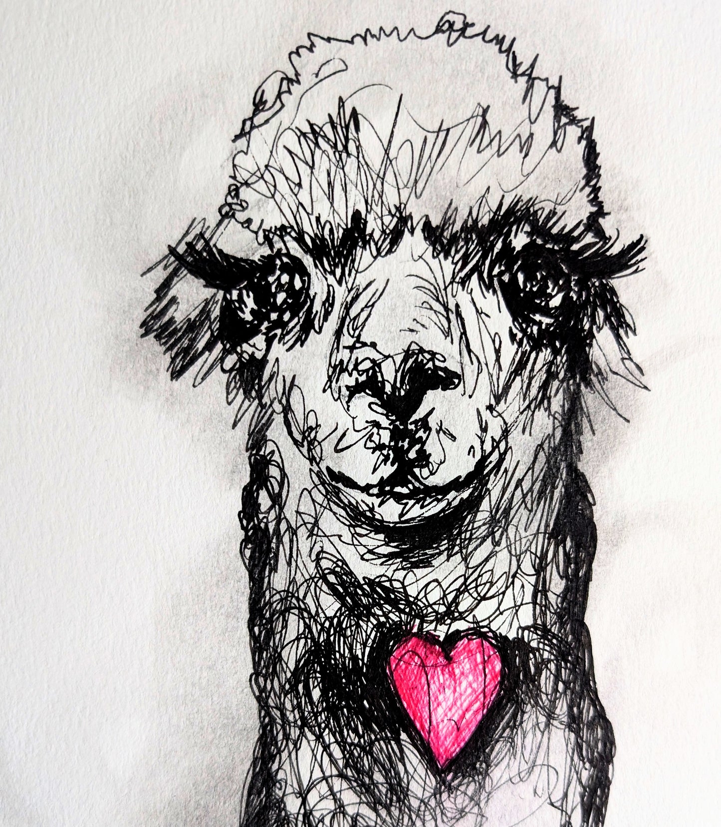 Llama With Pink Heart Pen Drawing Illustration Sketch Art Portrait Unframed A4 Size Animal Art