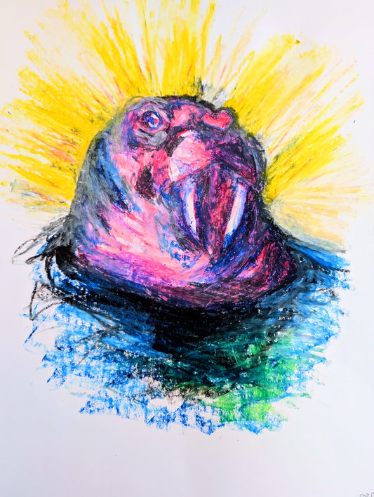 Pink Walrus With Sun & Water Oil Pastel Drawing Illustration Sketch A3 Unframed - Unorthodox Zoo