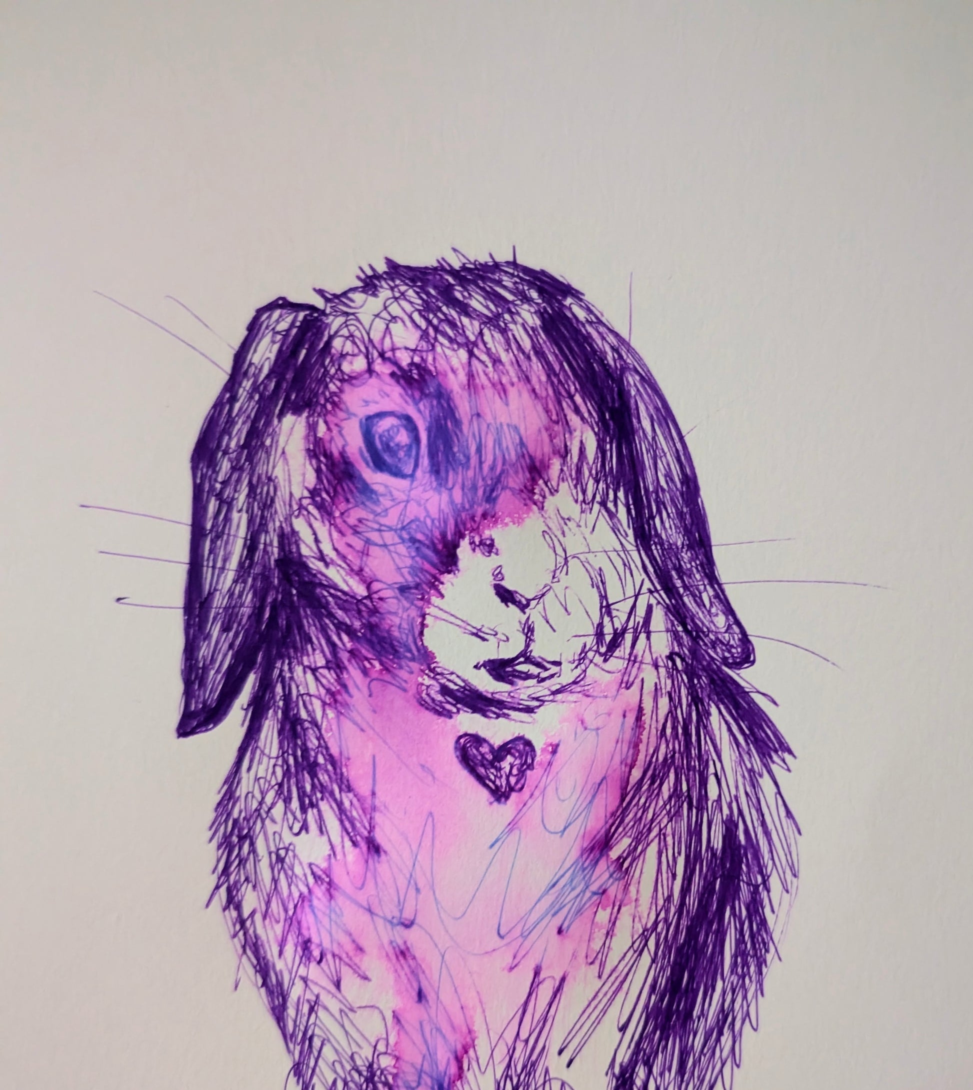 Rabbit Bunny With Heart Carrot Purple Pen Drawing Illustration Sketch Art Unframed A4 Size Portrait Animal Portrait - Unorthodox Zoo