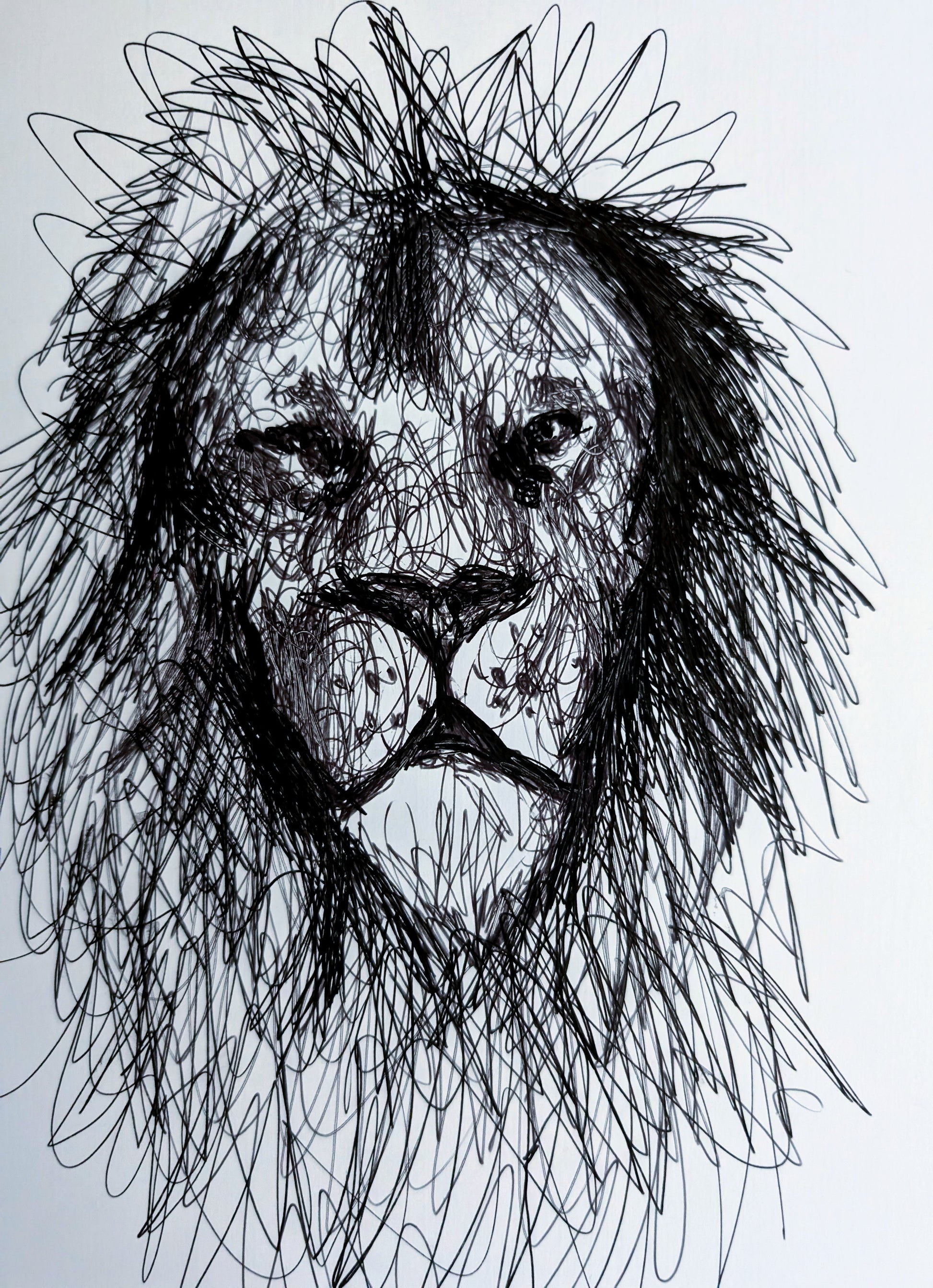 Lion With Fluffy Messy Flowing Hair And Fur Pen Illustration Drawing Sketch Art Portrait Animal Portrait Art Unframed Size 17.8 cm x 25.4 cm - Unorthodox Zoo