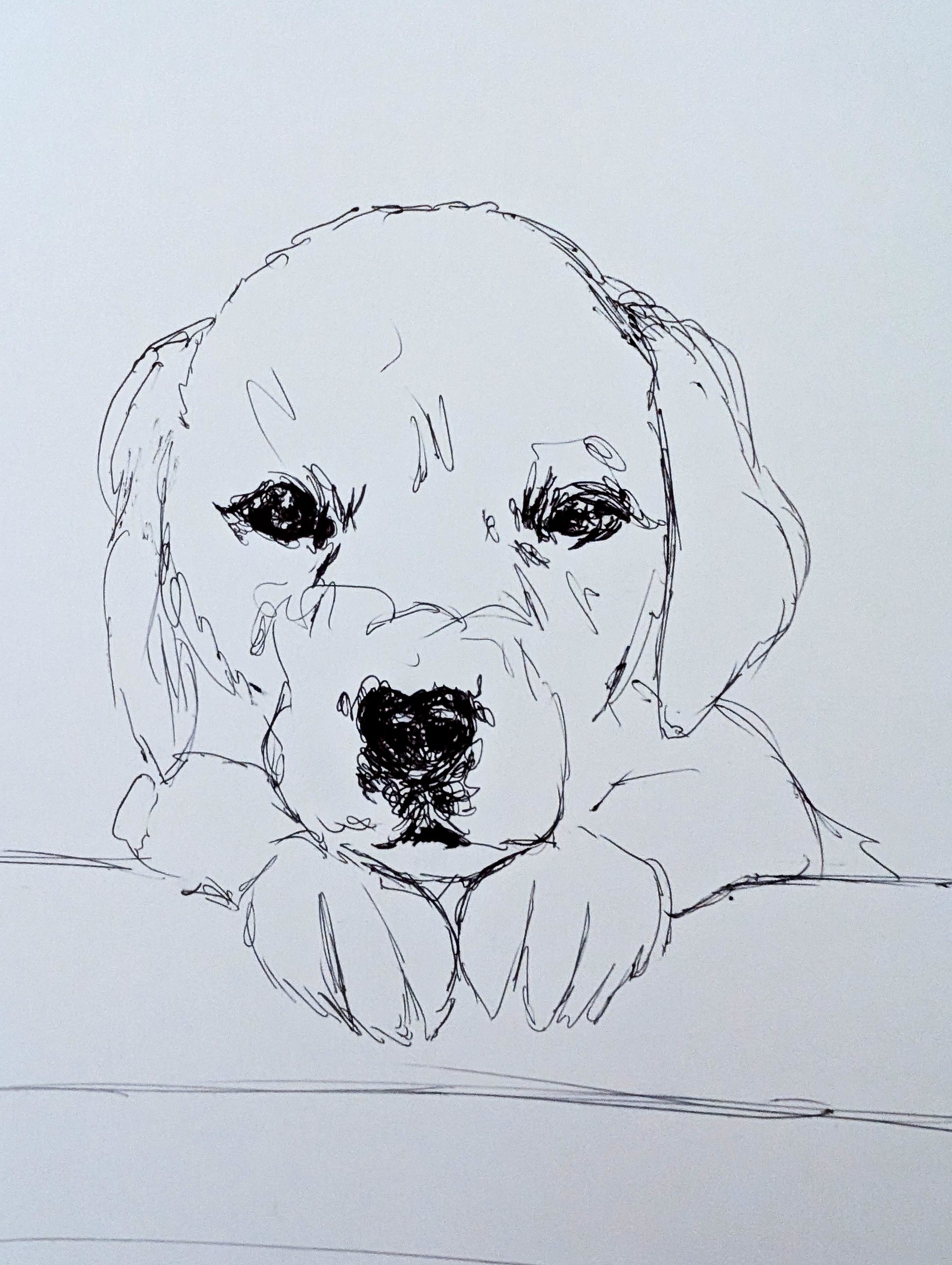 Puppy Dog Drawing Pen Illustration Sketch Art Portrait Unframed A4 Size - Unorthodox Zoo