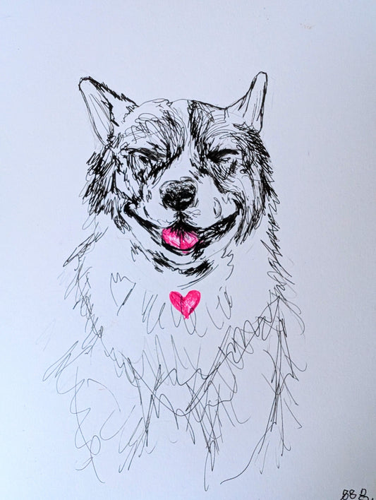 Laughing Corgi With Pink Heart And Pink Tongue Pen Ilustration Drawing A4 Size Unframed