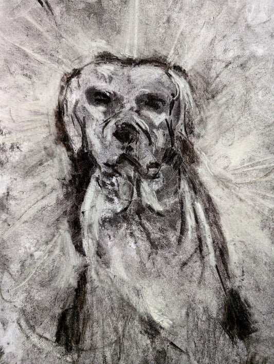 Black And White Charcoal Dog A3 Size Unframed Drawing Ilustration