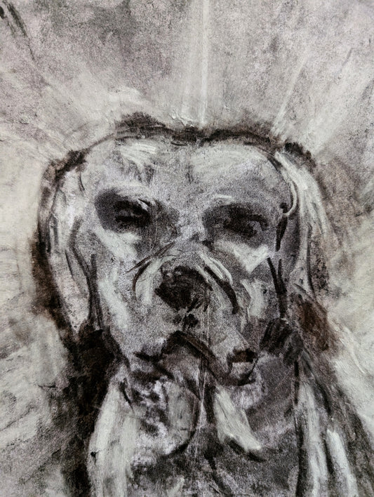 Black And White Charcoal Dog A3 Size Unframed Drawing Ilustration