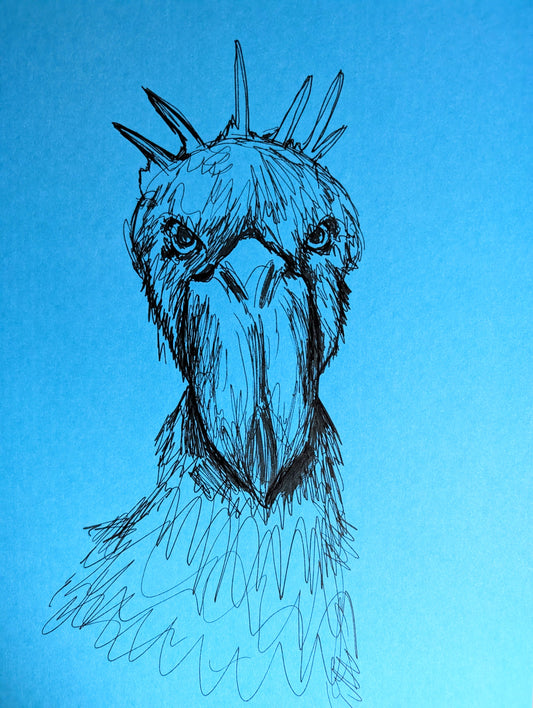 Shoebill Bird On Blue Card Art Pen Illustration Drawing Sketch Portrait Unframed A4 Size - Unorthodox Zoo