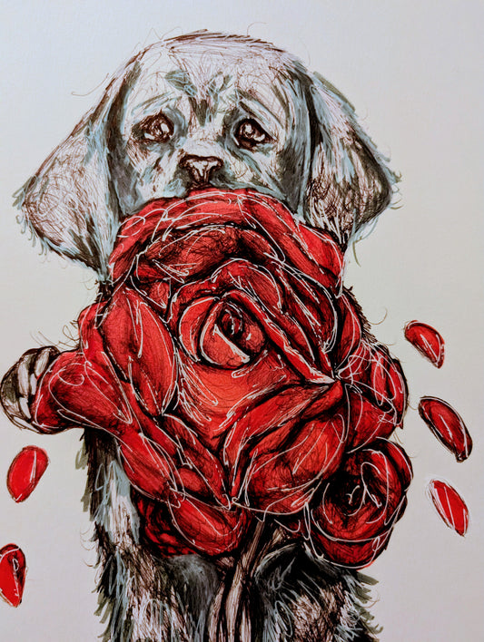 Puppy Dog With Red Roses Falling Petals Pen Illustration Drawing Sketch Art Portrait Unframed A4 Size