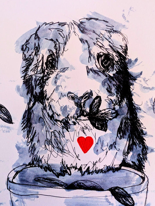 Guinea Pig With Red Heart Pen Drawing Illustration Sketch Art Portrait Unframed A4 Size - Unorthodox Zoo