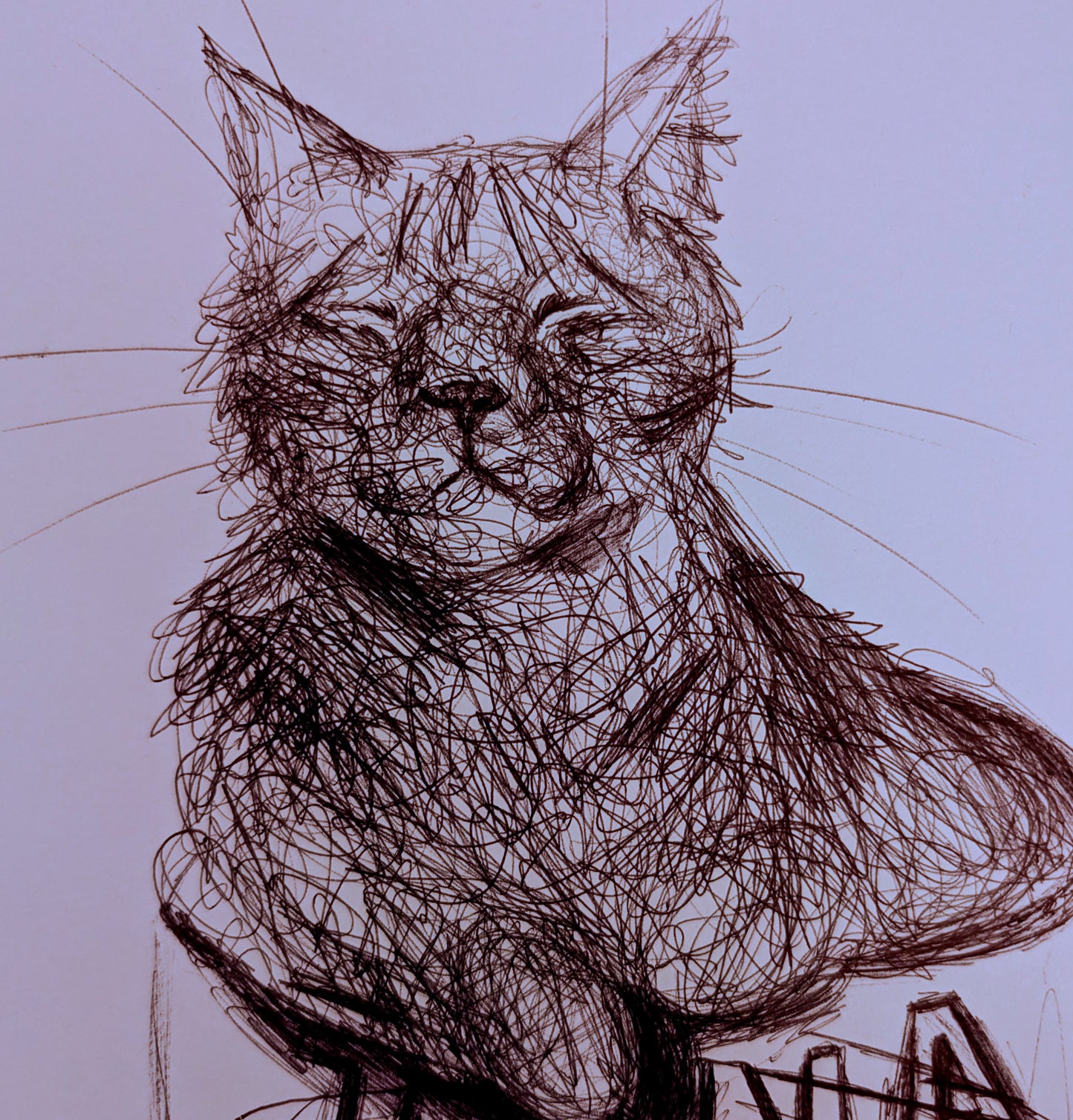 Cat In Tuna Can Sleeping Pen Drawing Illustration Animal Art Portraits A4 Size