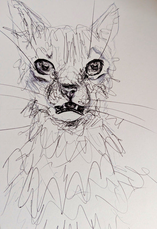 Uh Wut Cat Illustration Drawing Sketch Art Portrait Unframed A4 Size Animal Portraiture