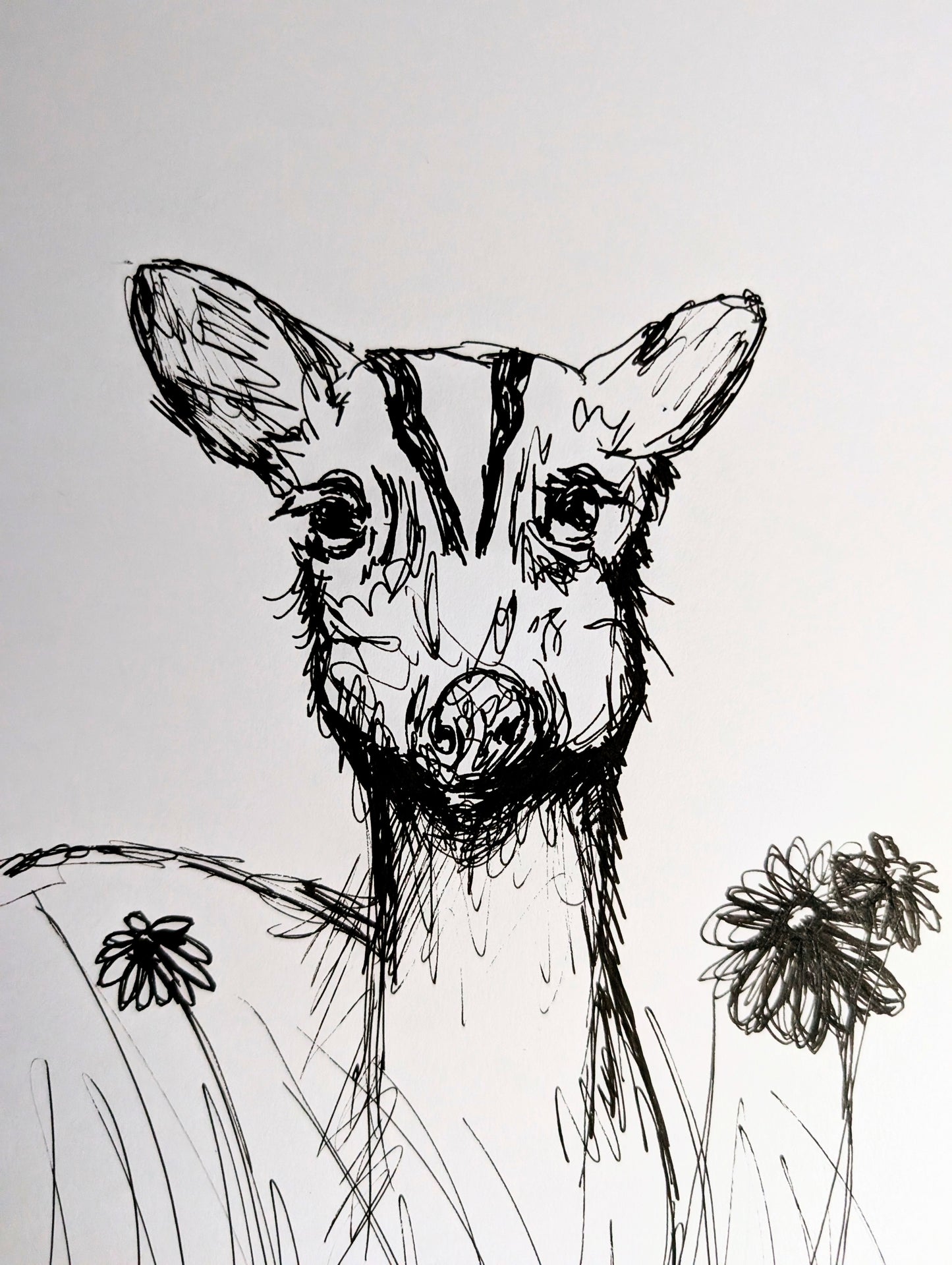 Muntjack Deer With Flowers Grass Pen Illustration Drawing Sketch Art Portrait Unframed A4 Size - Unorthodox Zoo
