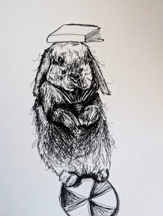 Bunny Rabbit On Ball With Book On Head Pen Illustration Drawing Sketch Art Portrait Unframed A4 Size
