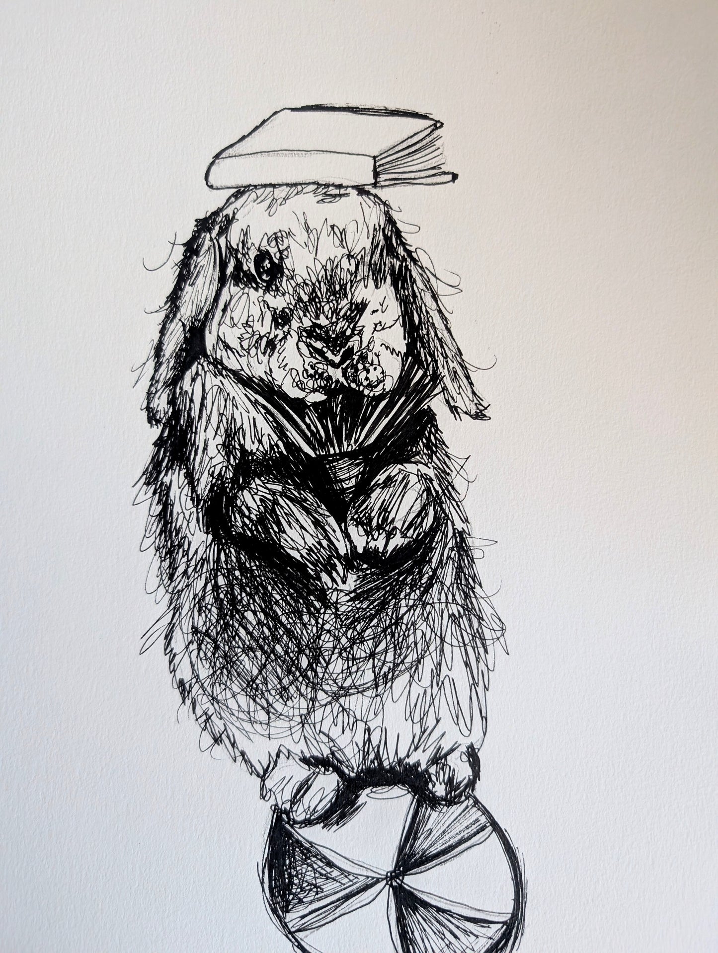 Bunny Rabbit On Ball With Book On Head Pen Illustration Drawing Sketch Art Portrait Unframed A4 Size