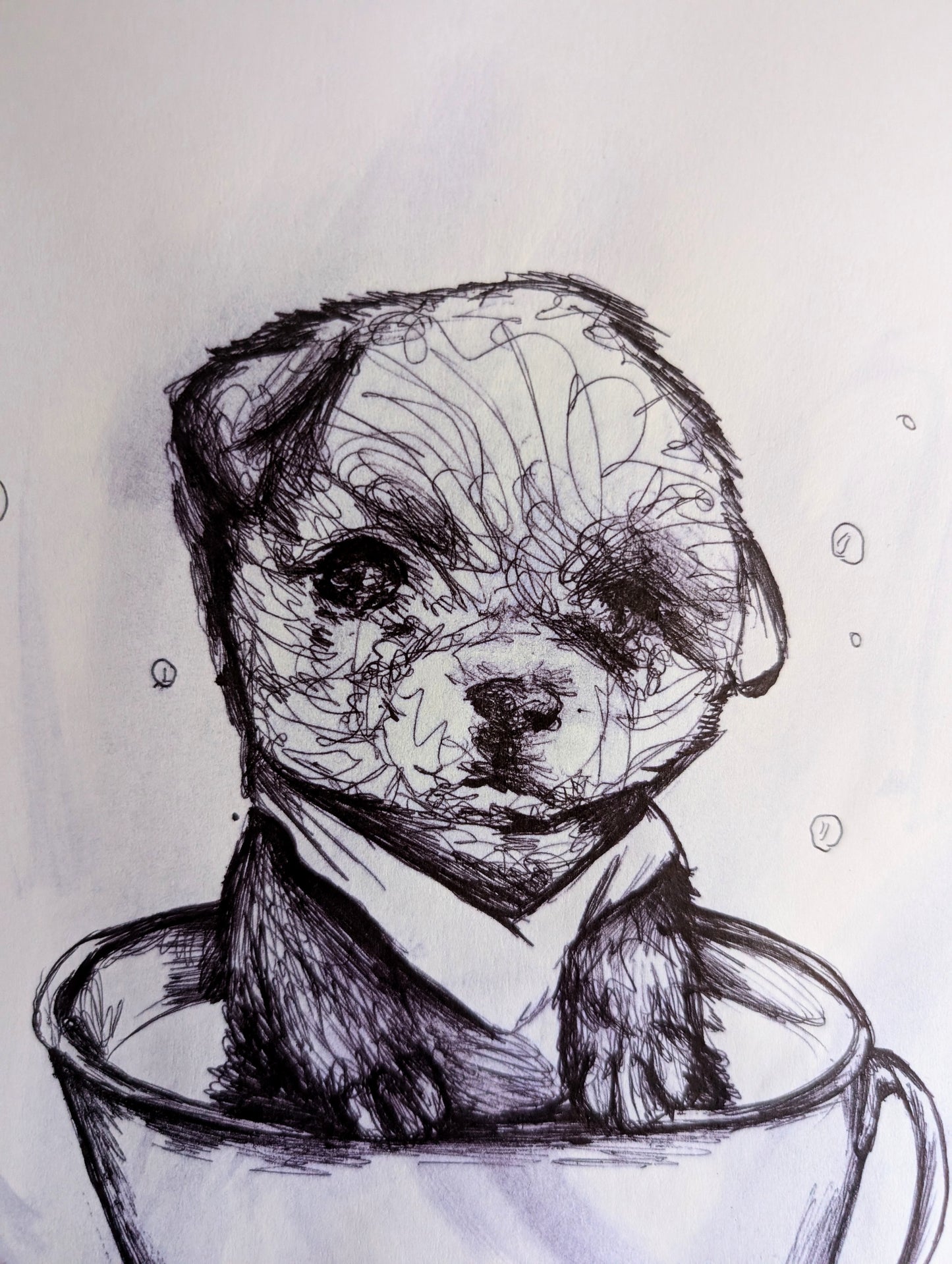 Puppy In A Cup With Bandana Bubbles Pen Drawing Illustration Sketch Art Portrait Unframed A4 Size
