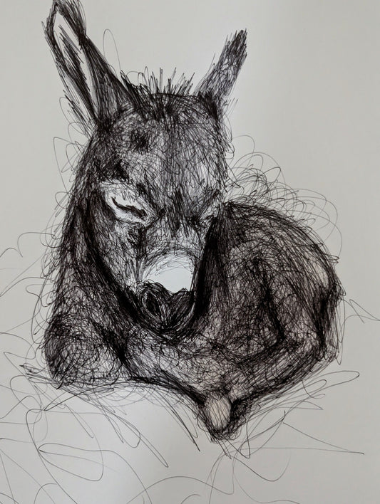 Donkey Pen Drawing Illustration Sketch Art Portrait Unframed A4 Size Animal Art Portrait Portraiture - Unorthodox Zoo