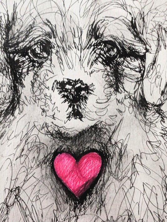 Fluffy Little Puppy Dog With Pink Heart With White Background Pen Illustration Drawing Sketch Art Unframed A4 Size