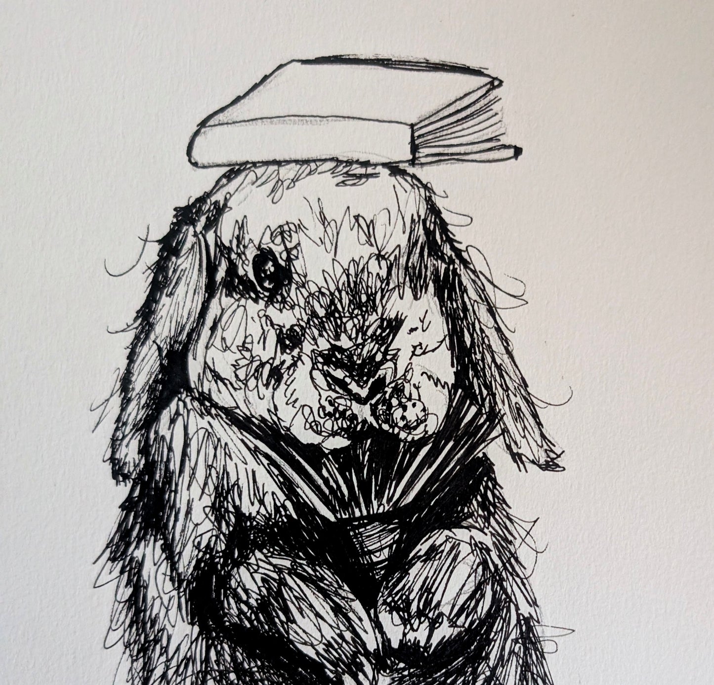 Bunny Rabbit On Ball With Book On Head Pen Illustration Drawing Sketch Art Portrait Unframed A4 Size