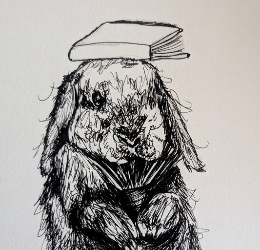 Bunny Rabbit On Ball With Book On Head Pen Illustration Drawing Sketch Art Portrait Unframed A4 Size