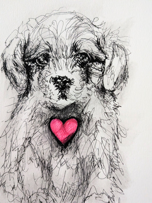 Fluffy Little Puppy Dog With Pink Heart With White Background Pen Illustration Drawing Sketch Art Unframed A4 Size