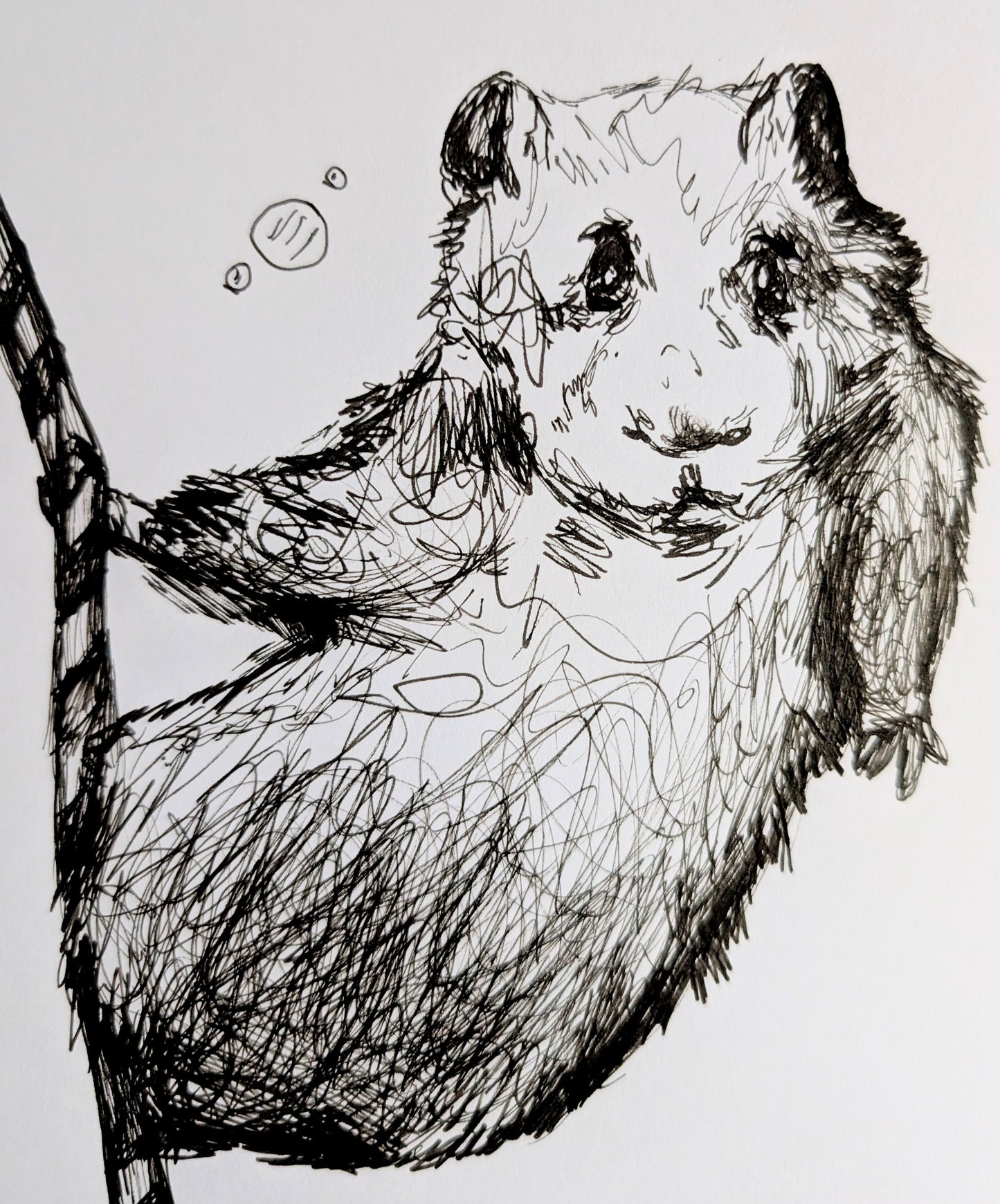 Hamster With Straw Bubbles Pen Drawing Illustration Sketch Art Portrait Unframed A4 Size
