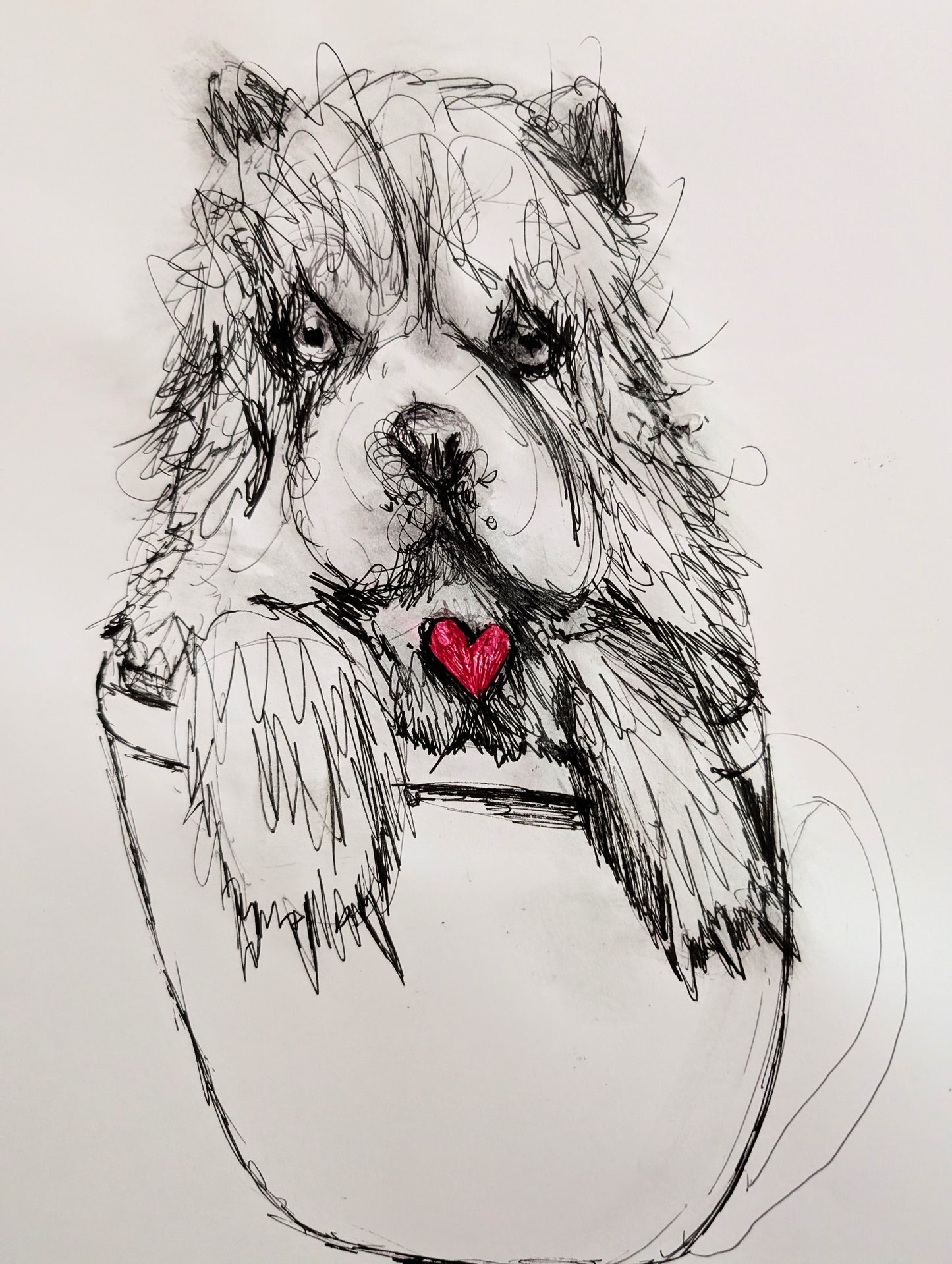 Fluffy Dog In A Cup With Pink Red Heart Pen Drawing Unframed A3 Size