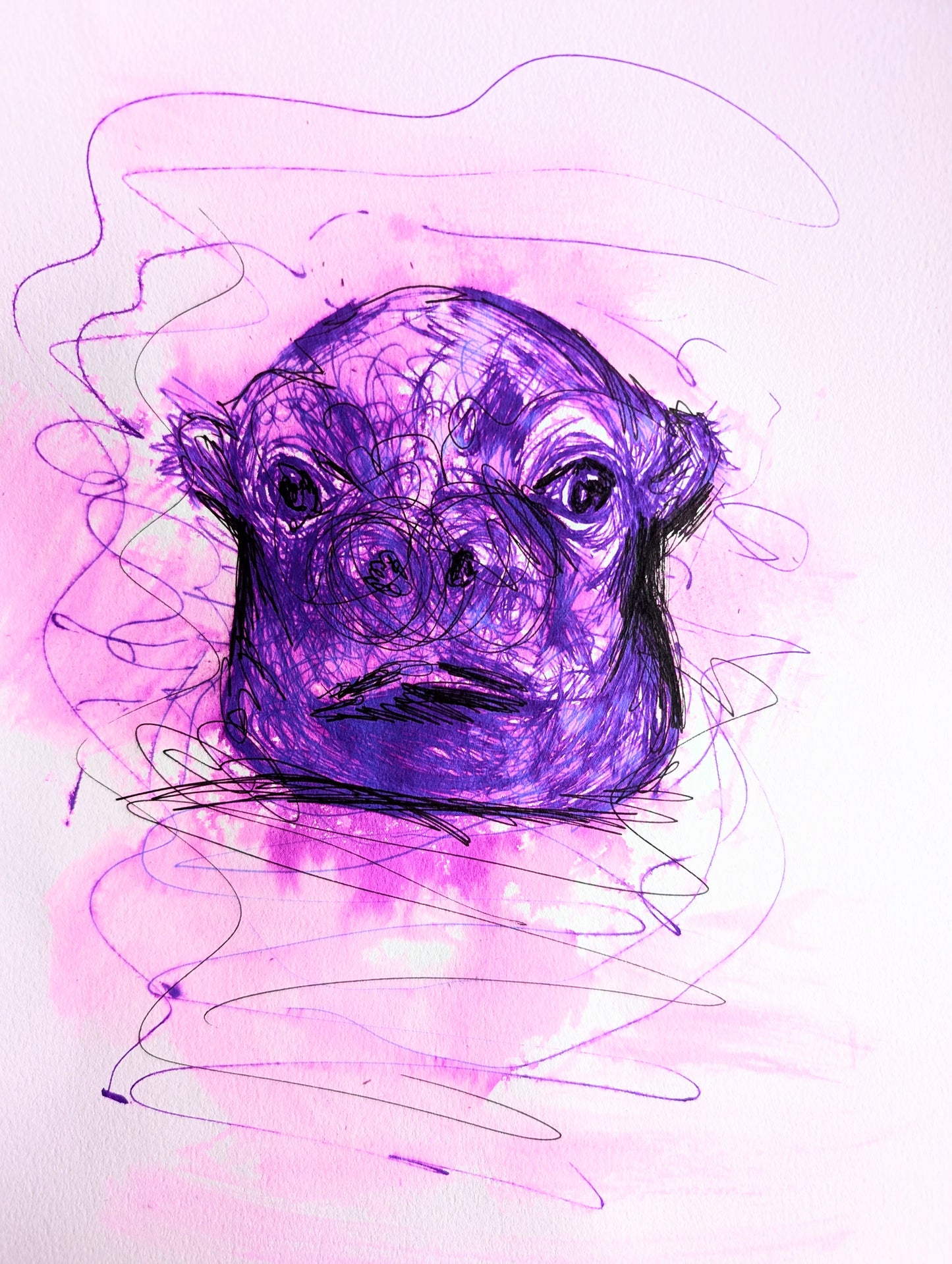 Purple Hippo With Funny Not Impressed Facial Expression With Scribbly Wiggle Water Lines Pen Drawing Illustration Sketch Art Unframed A4 Size - Unorthodox Zoo