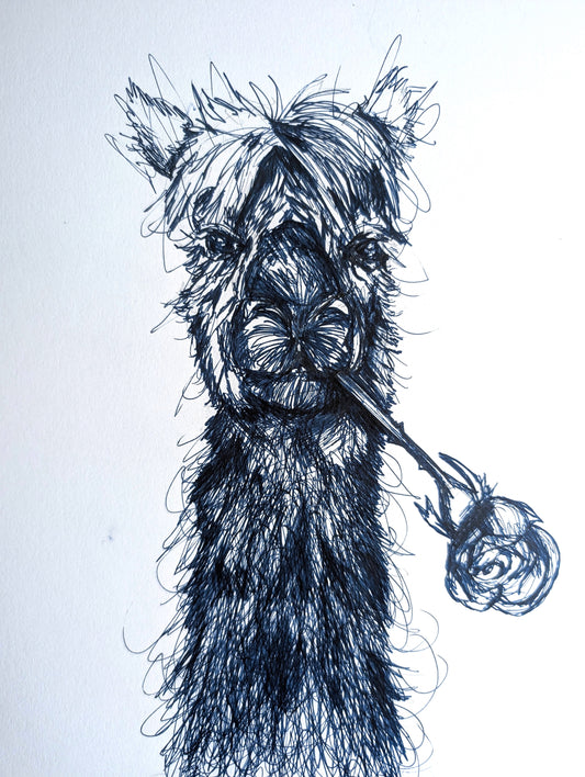 Romantic Llama With Rose Flower Pen Illustration Drawing Sketch Art Portrait Unframed A4 Size