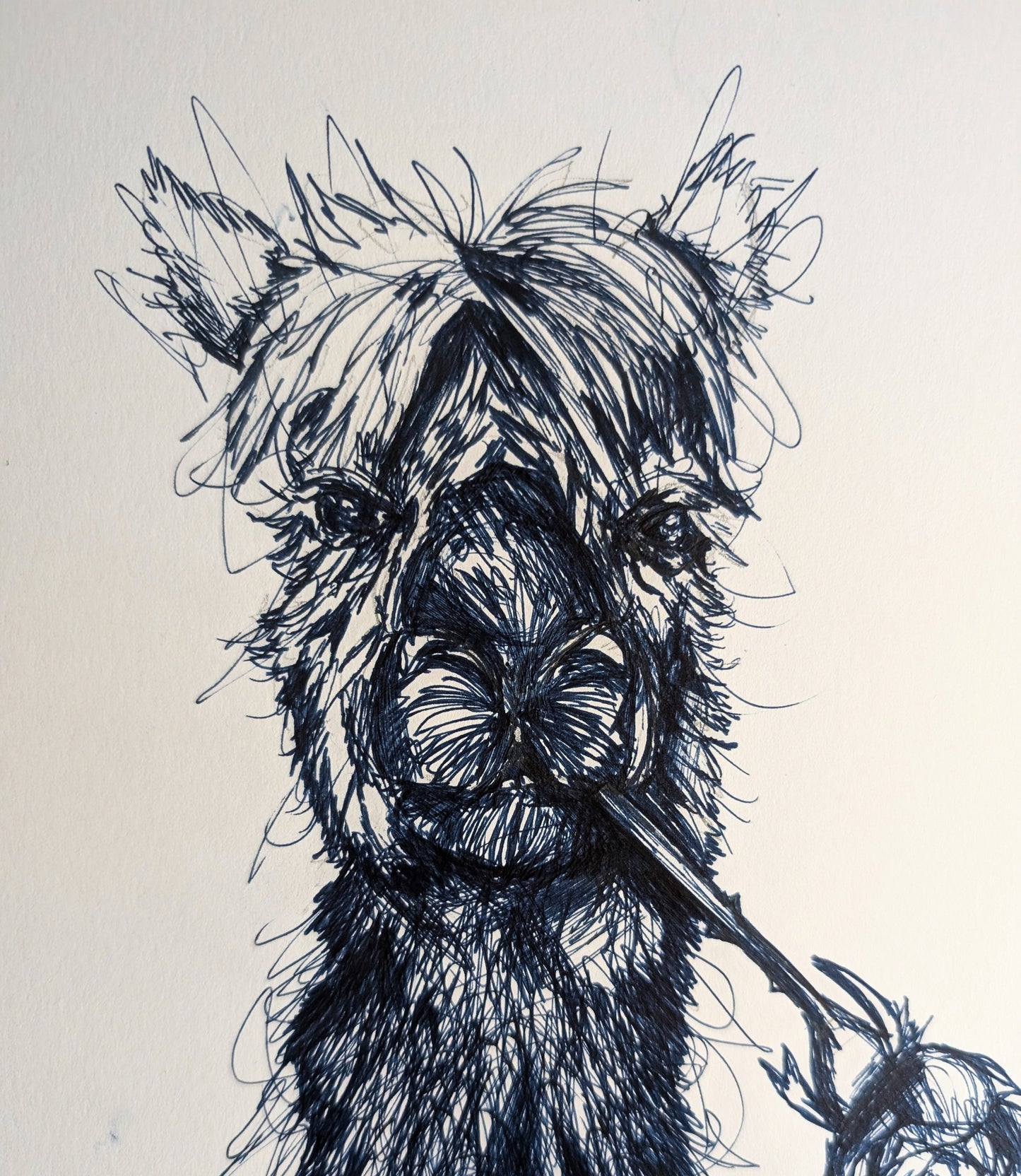 Romantic Llama With Rose Flower Pen Illustration Drawing Sketch Art Portrait Unframed A4 Size