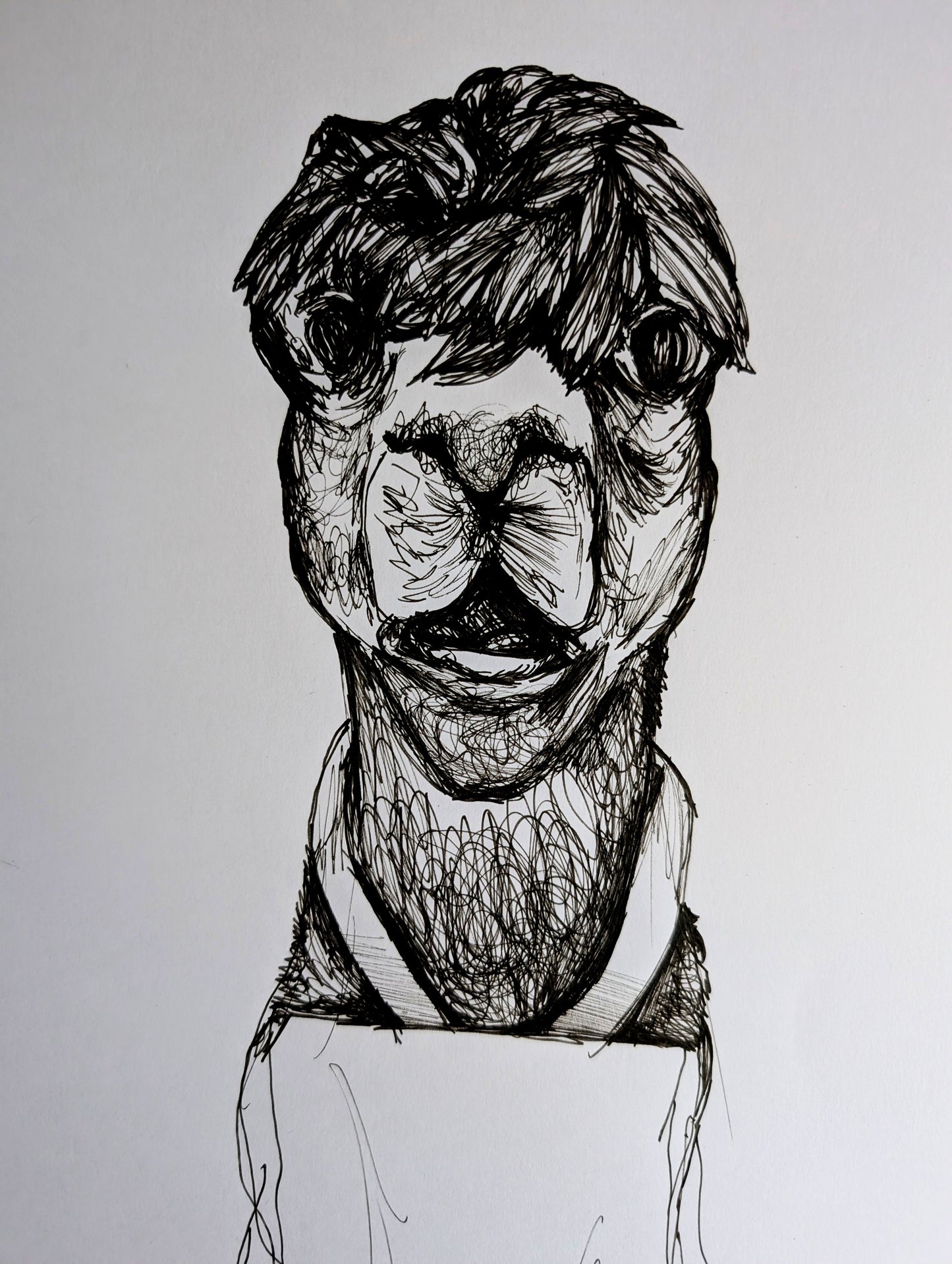 Llama With Wig Pulling Funny Face Wearing Apron Pen Illustration Drawing Sketch Art Portrait Unframed A4 Size