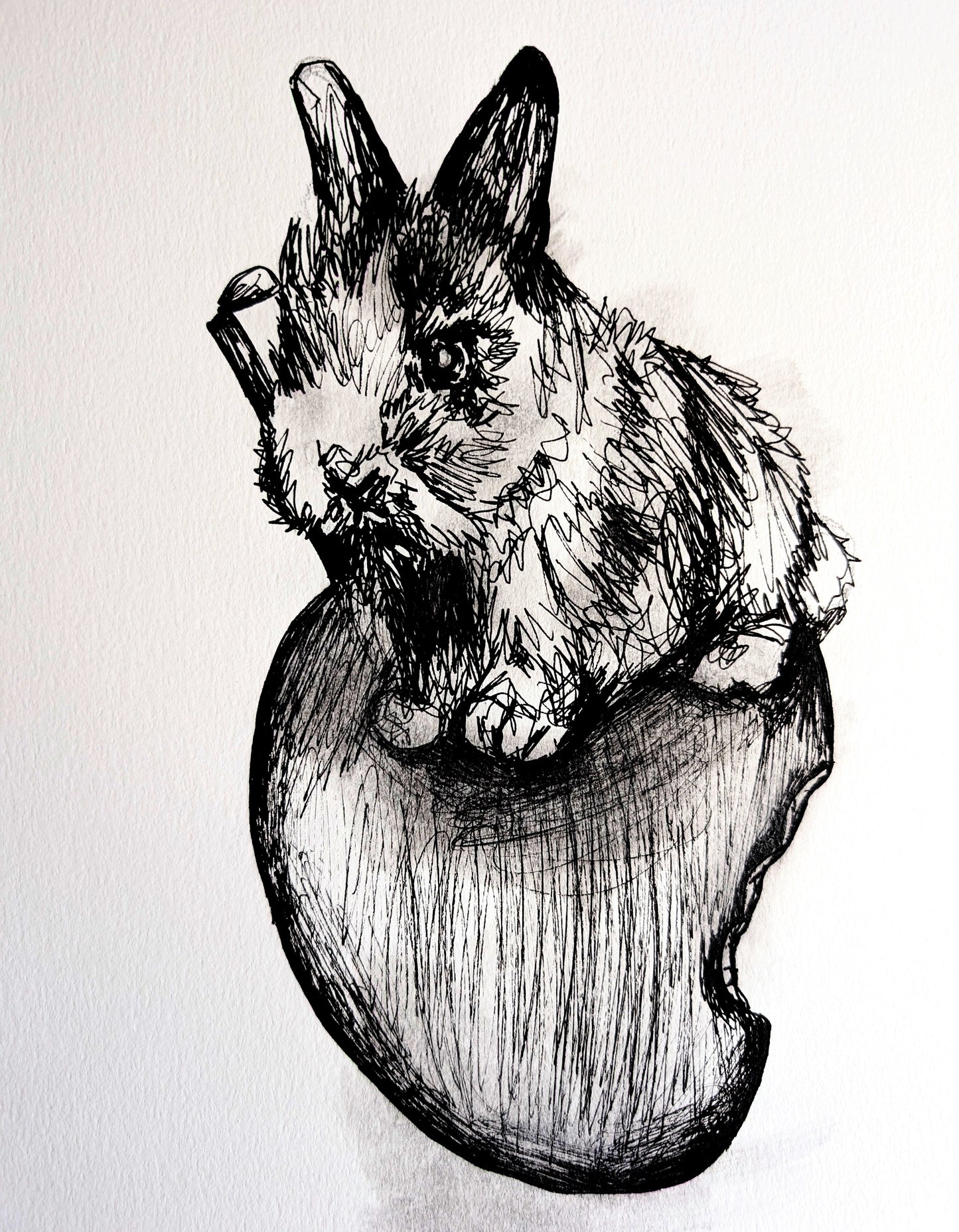Rabbit Bunny With Bitten Apple Pen Illustration Drawing Sketch Art Portrait Unframed A4 Size