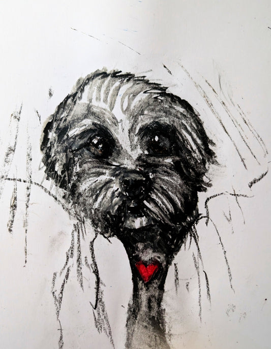 Fluffy Little Dog With Red Heart White Background Oil Pastel Illustration Drawing Sketch Art Unframed A4 Size