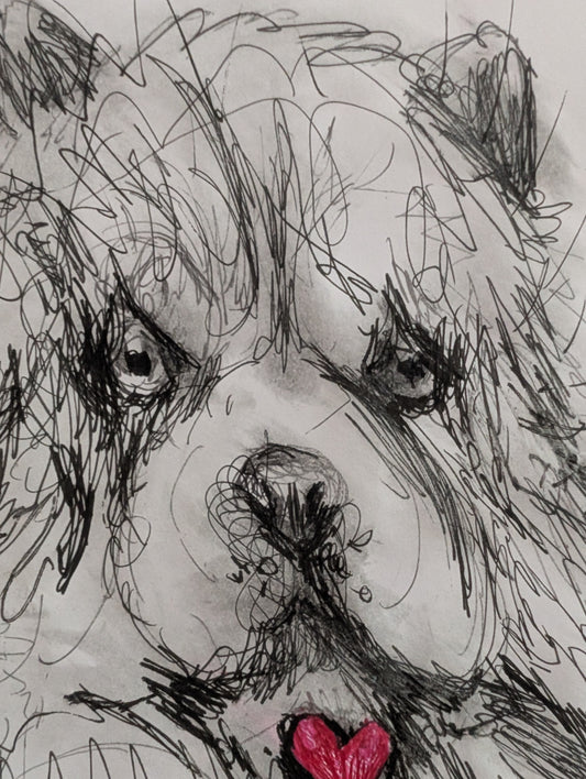 Fluffy Dog In A Cup With Pink Red Heart Pen Drawing Unframed A3 Size