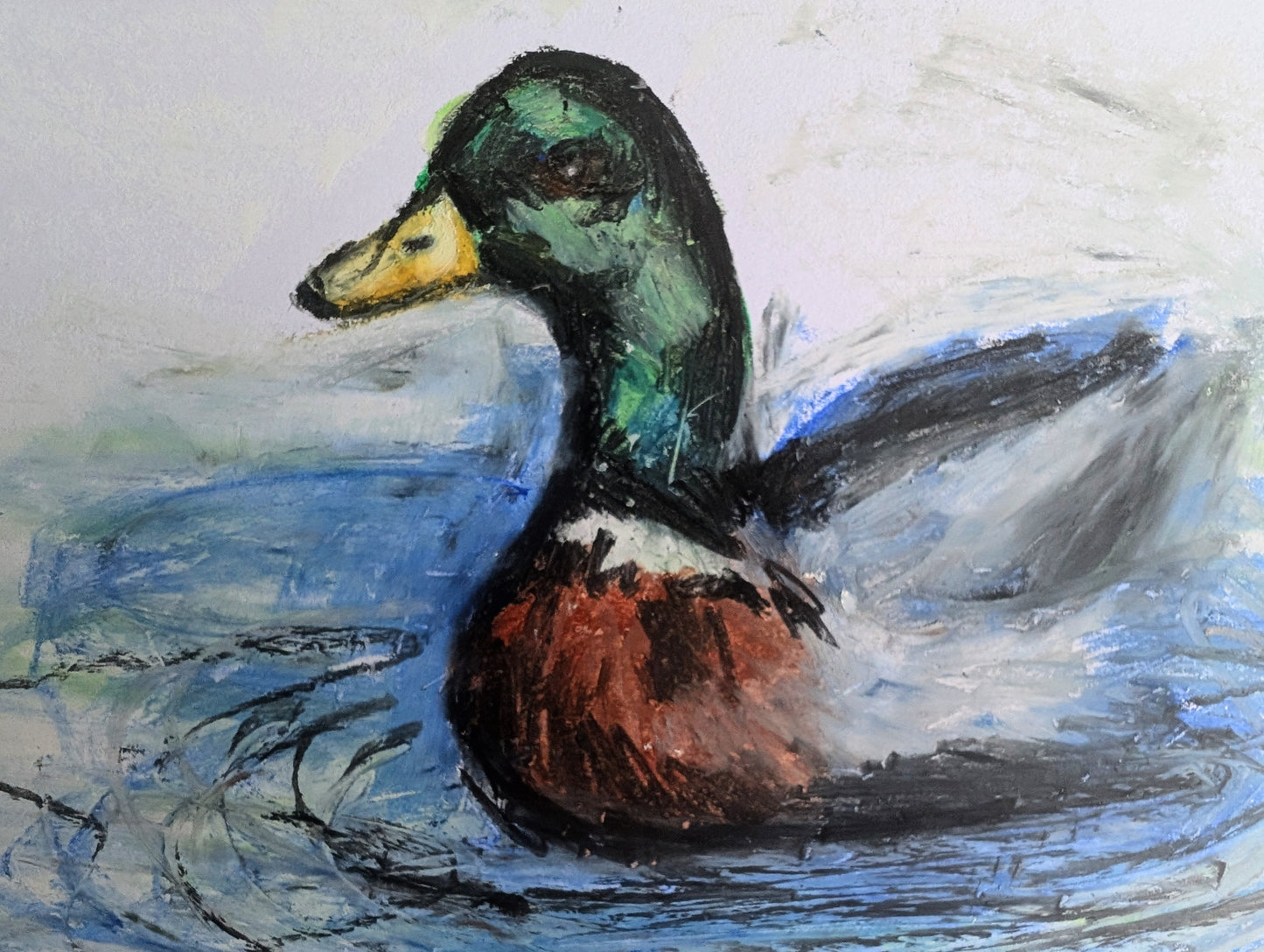 Green Brown White Duck With Yellow Beak Bill With Blue Water Oil Pastel Drawing Illustration Sketch Art Unframed A4 Size - Unorthodox Zoo