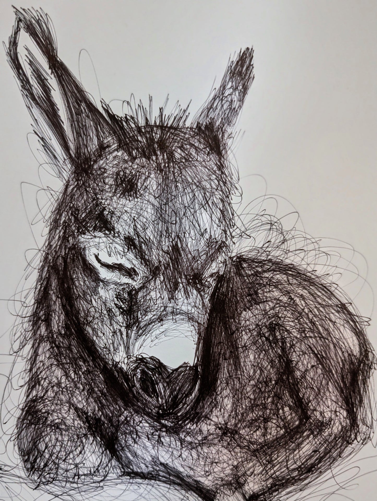 Donkey Pen Drawing Illustration Sketch Art Portrait Unframed A4 Size Animal Art Portrait Portraiture - Unorthodox Zoo