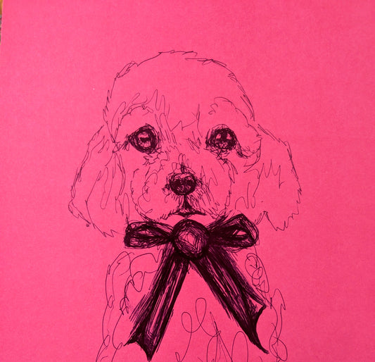 Poodle Dog Puppy Pen Drawing Illustration Sketch Art Portrait Unframed A4 Size Pink Paper Ribbon Bow - Unorthodox Zoo