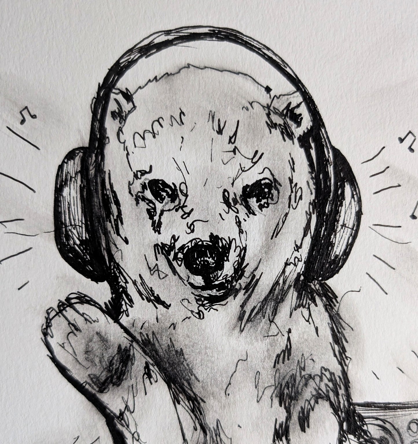 DJ Polar Bear With Headphones Sound Lines Pen Drawing Illustration Sketch Art Portrait Unframed A4 Size Animal Portraiture