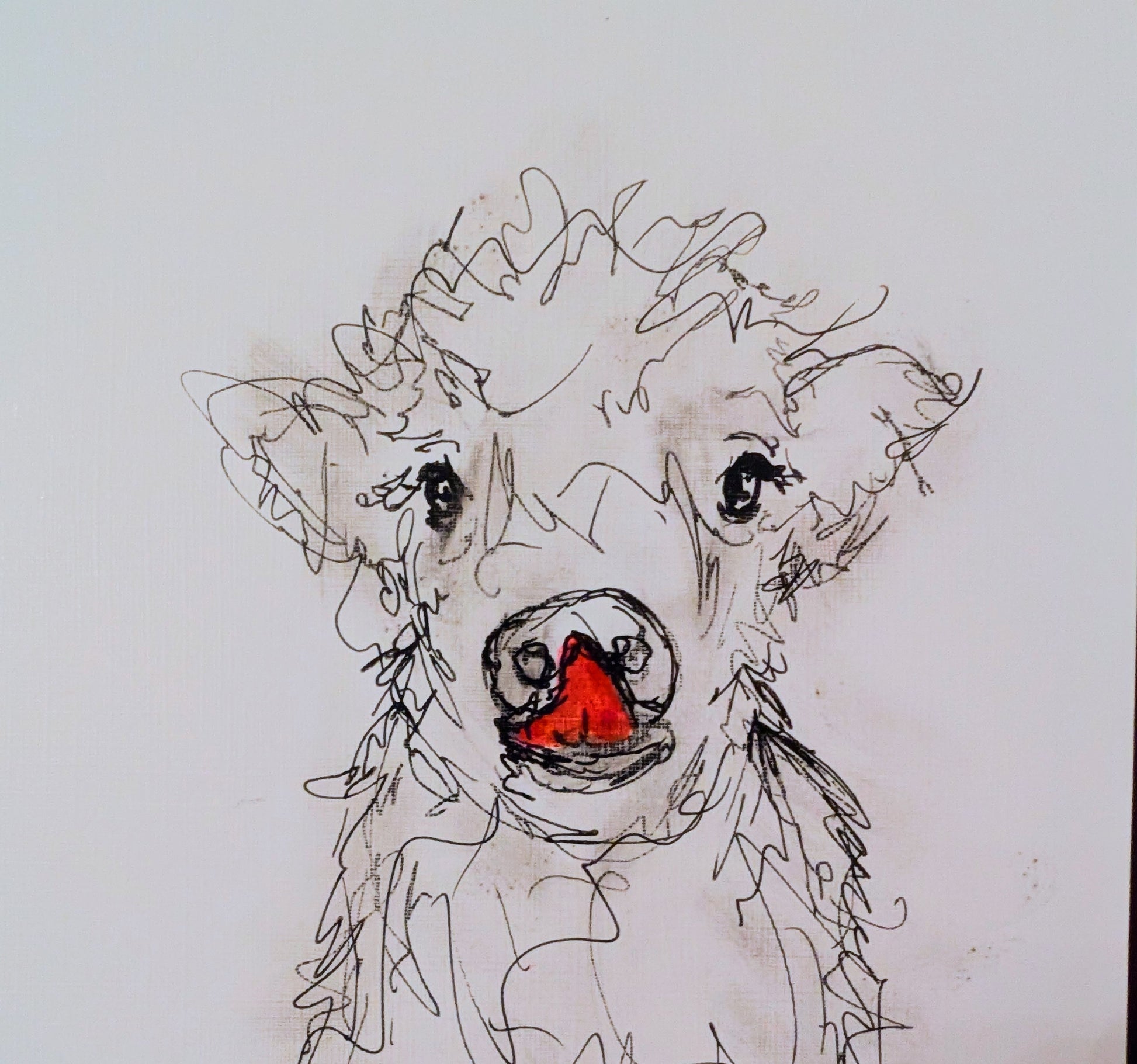 Fluffy Cow With Pink Tongue Drawing Pen Illustration Sketch Art Portrait Unframed Size 17.8 cm x 25.4 cm - Unorthodox Zoo