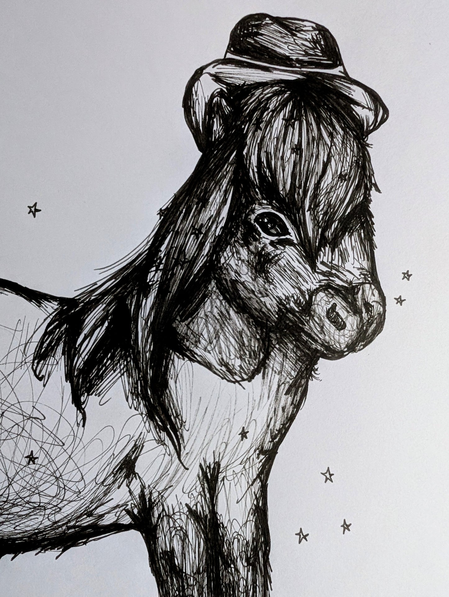 Pony With Long Hair With Cow Boy Hat Stars Pen Illustration Drawing Sketch Art Portrait Unframed A4 Size
