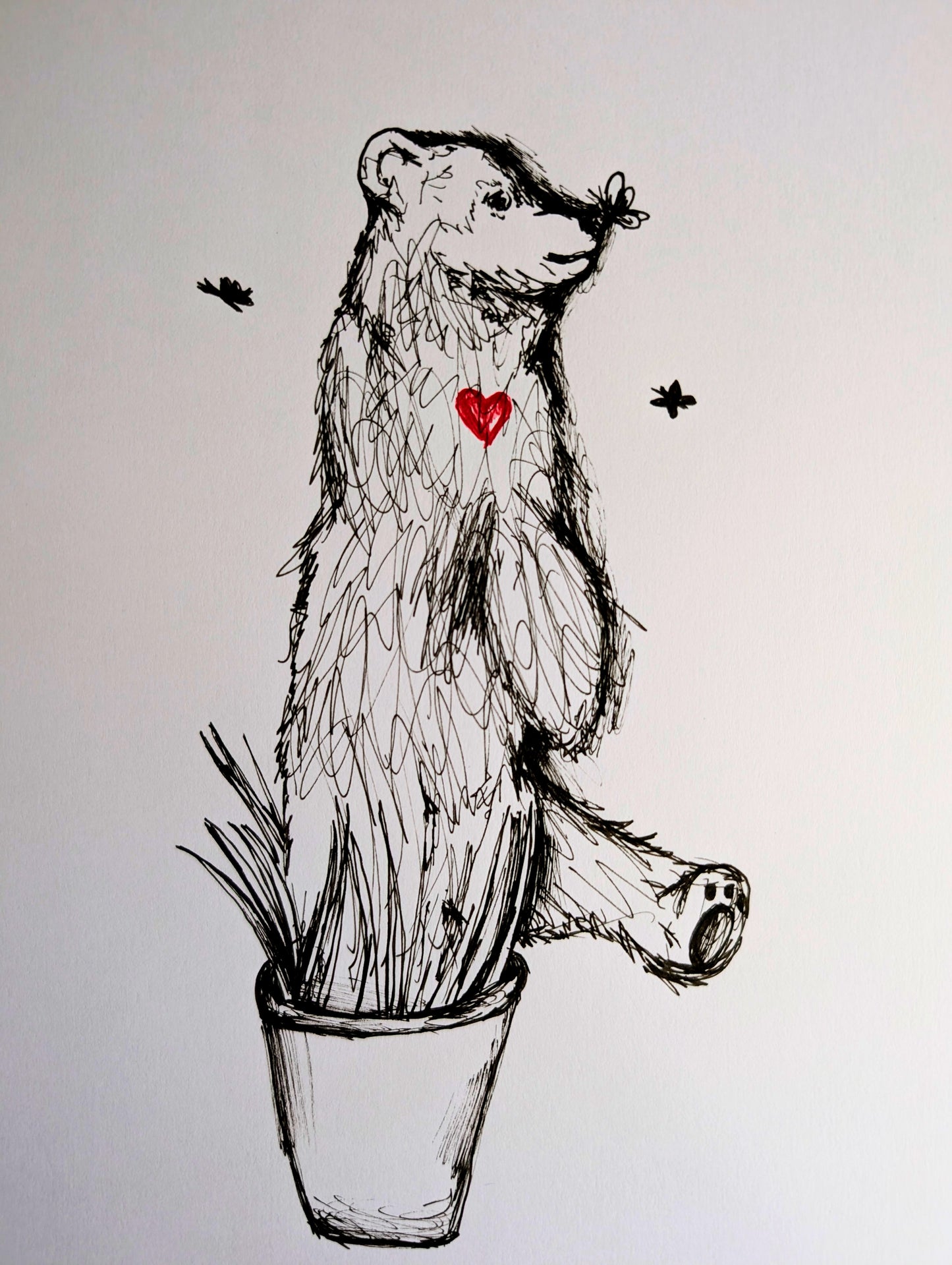 Bear With Red Heart Plant Pot Butterfly Silhouettes Pen Illustration Drawing Sketch Art Portrait Unframed A4 Size