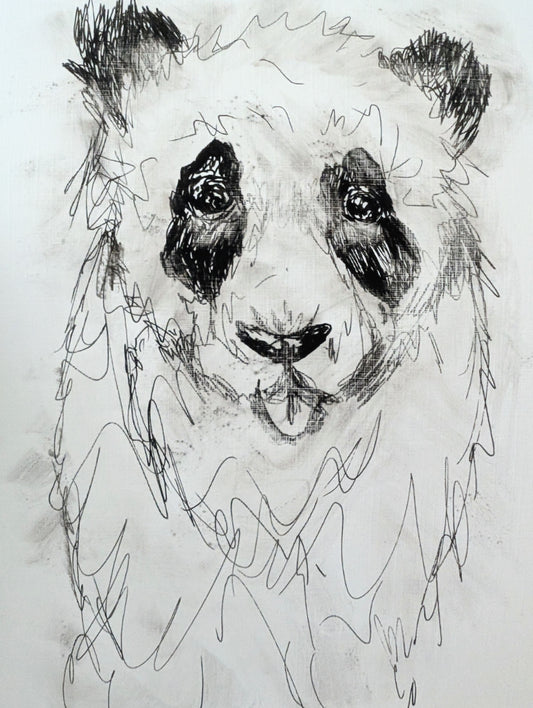 Panda Bear Fluffy Hair With Tongue Sticking Out Pen Drawing Illustration Sketch Art Portrait Size 17.8 cm x 25.4 cm Unframed